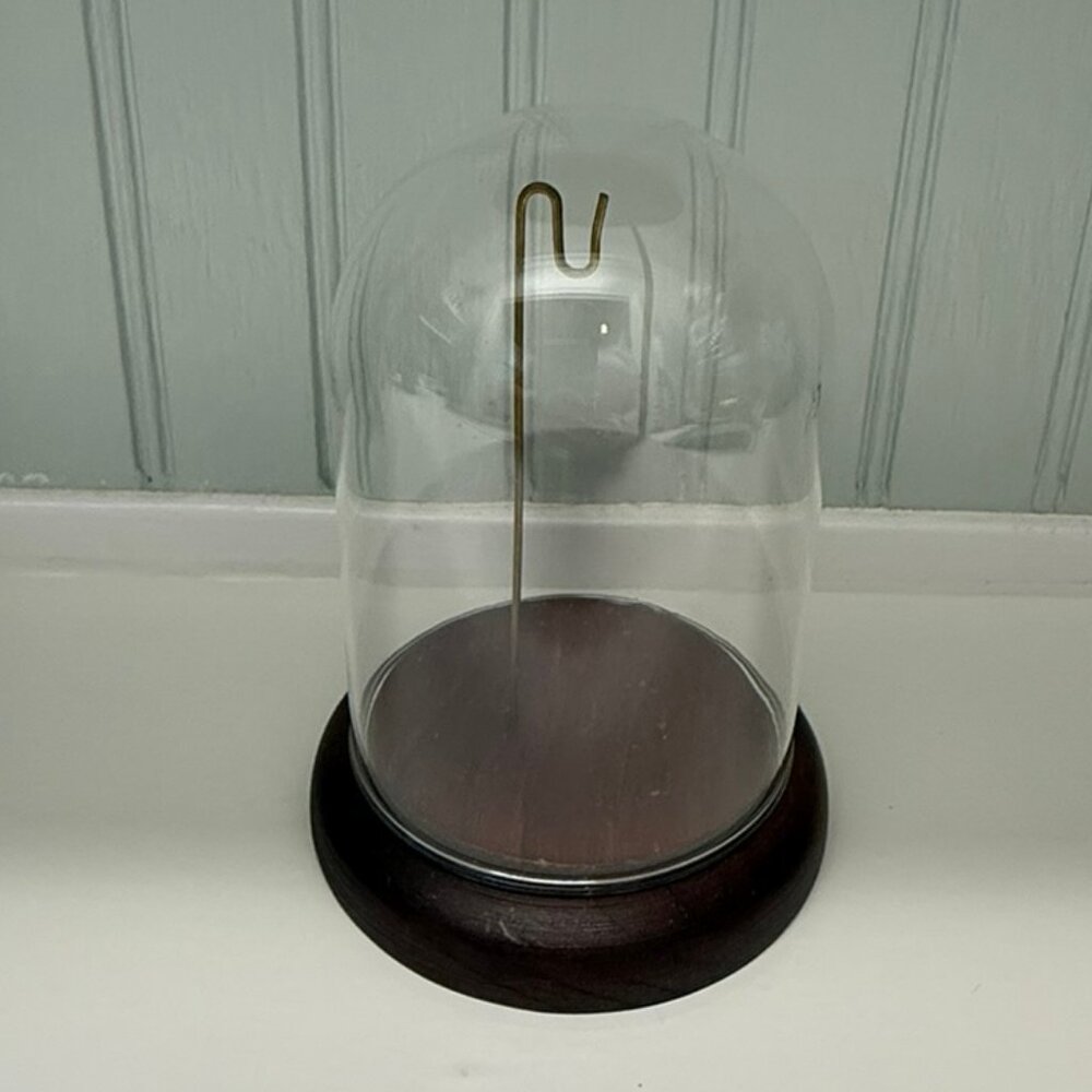 VINTAGE Clear Glass Dome With Display Hook and Wood Base